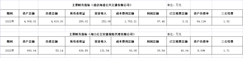 海口公交集團(tuán)及下屬各子公司2022年度信息公開財(cái)務(wù)主要指標(biāo)明細(xì)2_副本.png